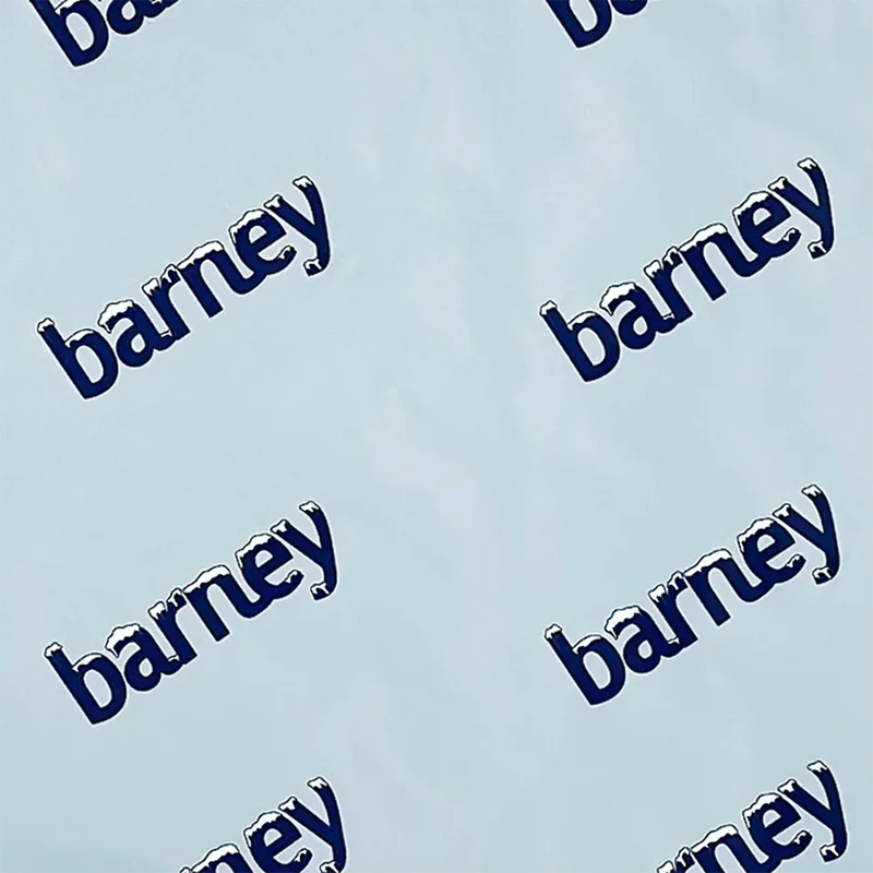 Close-up of the pale blue Barney Chill Pad printed with the barney logo