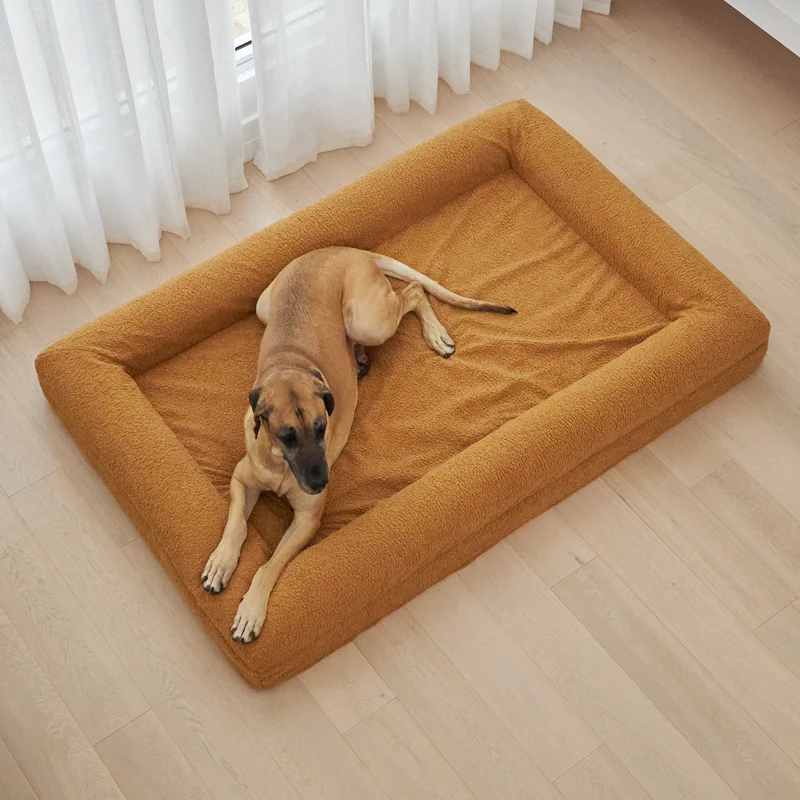 Tan dog lying on a Barney Bed in a Teddy Cover in Golden, seen from above