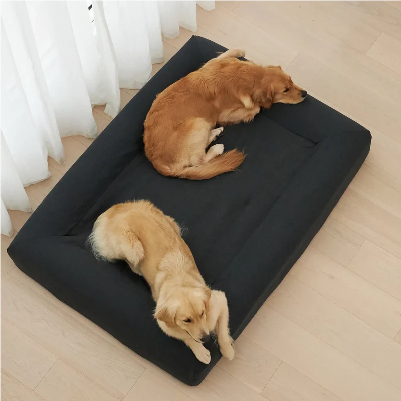 Basics Cover in Charcoal: two Golden Retrievers lying on one charcoal Barney Bed, seen from above.