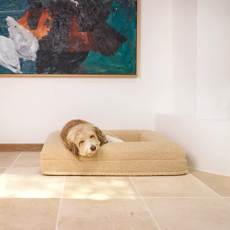 Teddy Cover in Rice Pudding on a Barney Bed: a shaggy cream and tan dog asleep on it, beneath a large abstract painting.