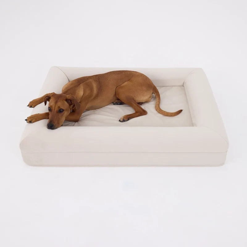 Signature Cover in Bone: a tan short-haired dog lying on an off-white bed, seen from above.