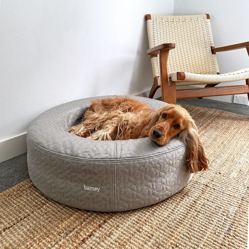 Cocker Spaniel relaxing on a grey cooling dog bed