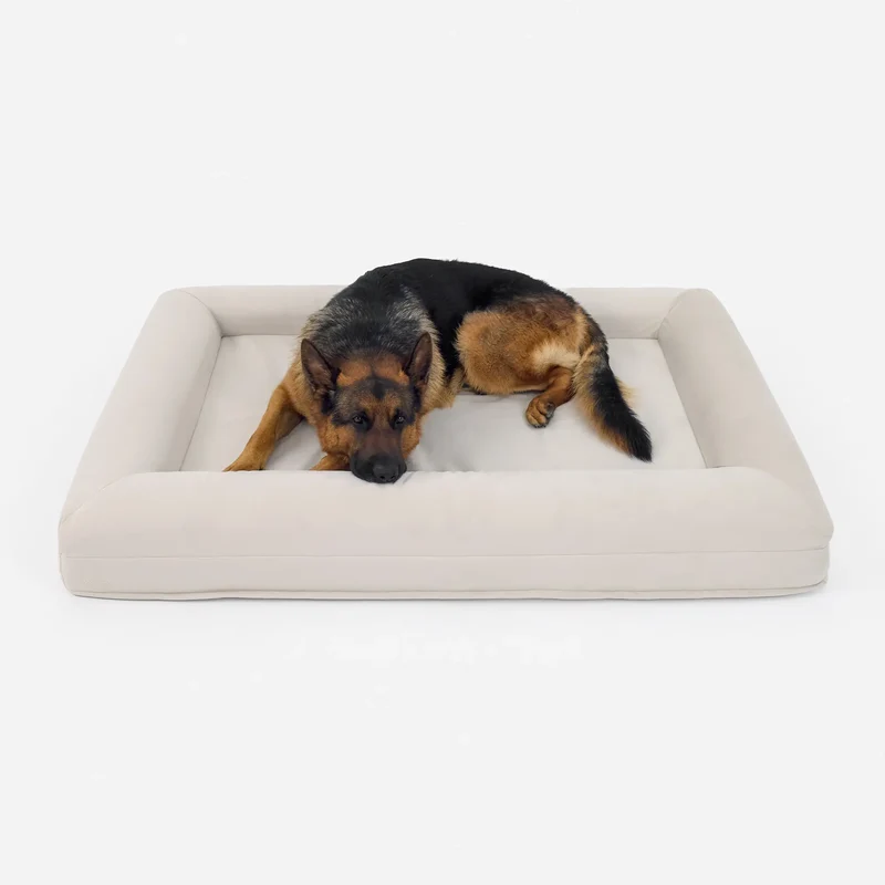 XL Barney Bed in Bone: a German Shepherd lying with its chin on the front bolster, plenty of room on each side.