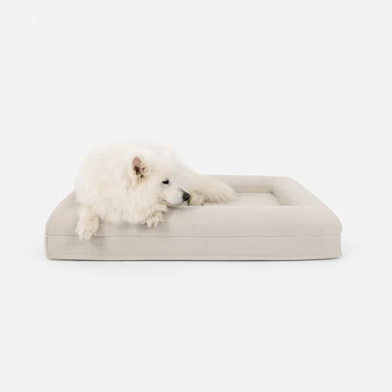 Samoyed resting its chin on the bolster of a Large Barney Bed in Bone