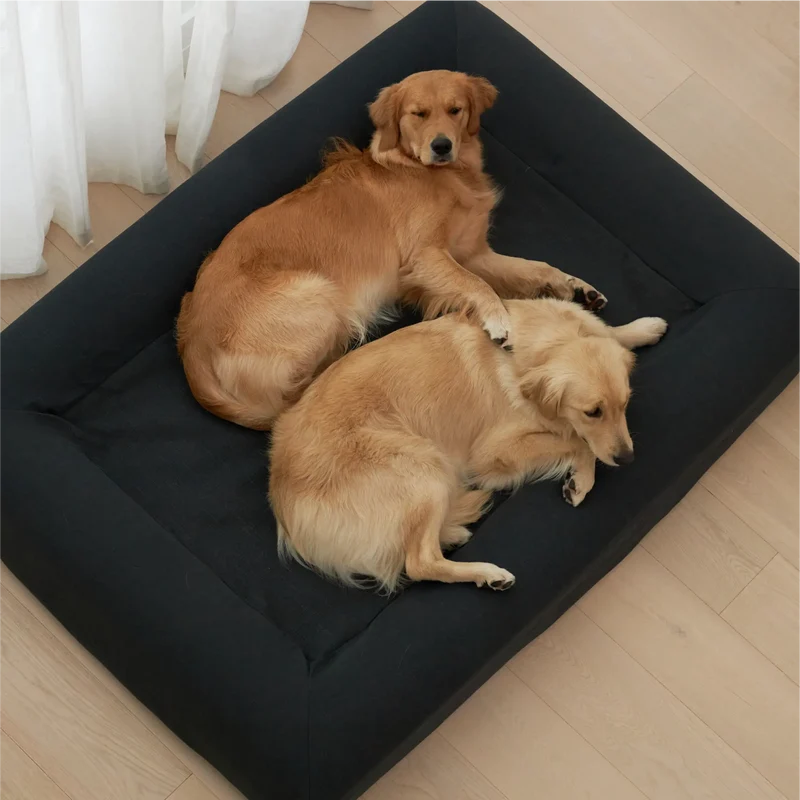Basics Cover in Charcoal: two Golden Retrievers curled up together on one Barney Bed, seen from above.