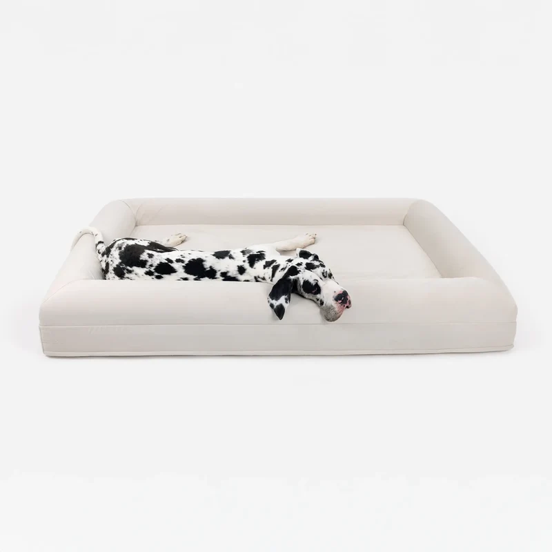 XXL Barney Bed in Bone