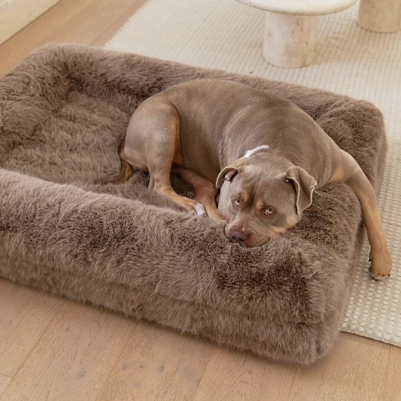 American Bully resting in a large brown Original Barney Bed