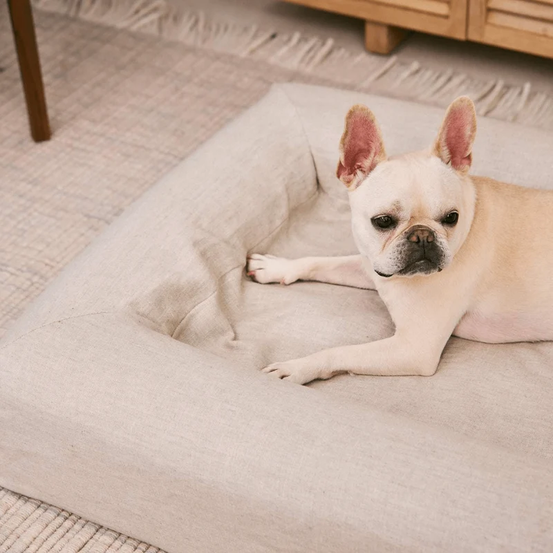 French Bulldog lying on a Barney Bed in a Linen Cover in Oat