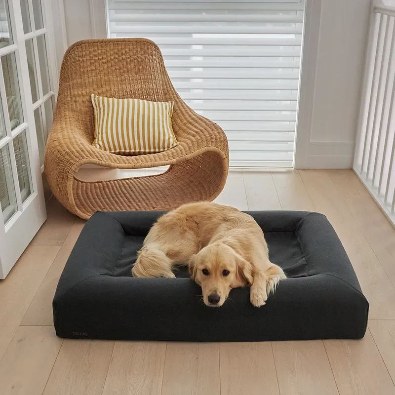 Basics Cover in Charcoal: a Golden Retriever lying on a Barney Bed, chin over the front bolster, beside a wicker chair.
