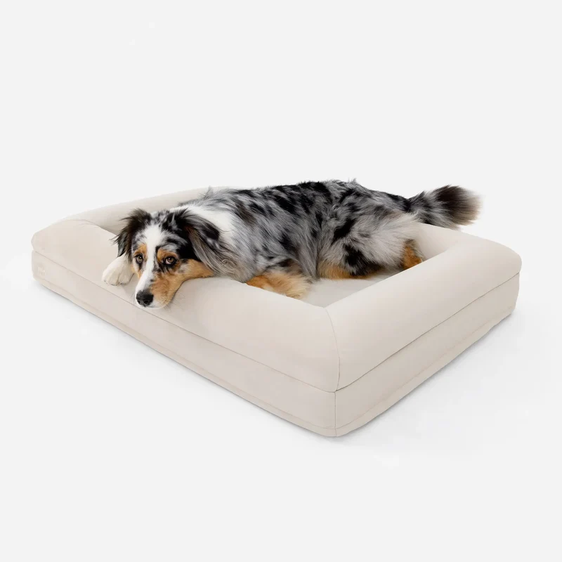Blue merle Australian Shepherd lying on a Large Barney Bed in Bone