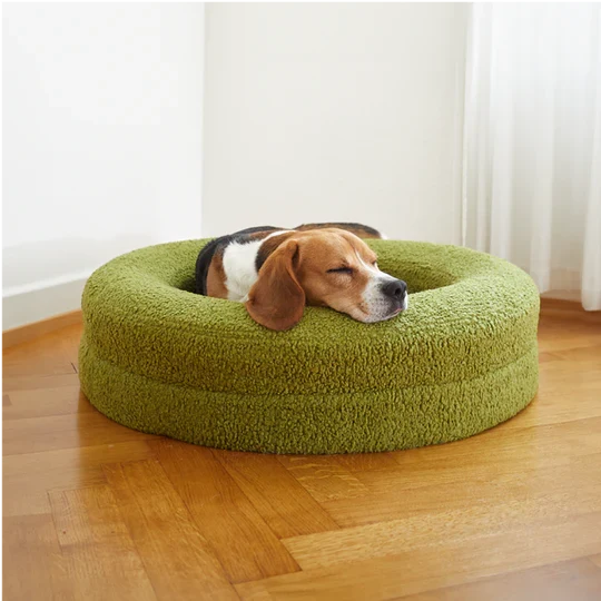 barneycurl | Beagle resting comfortably on a green pet bed