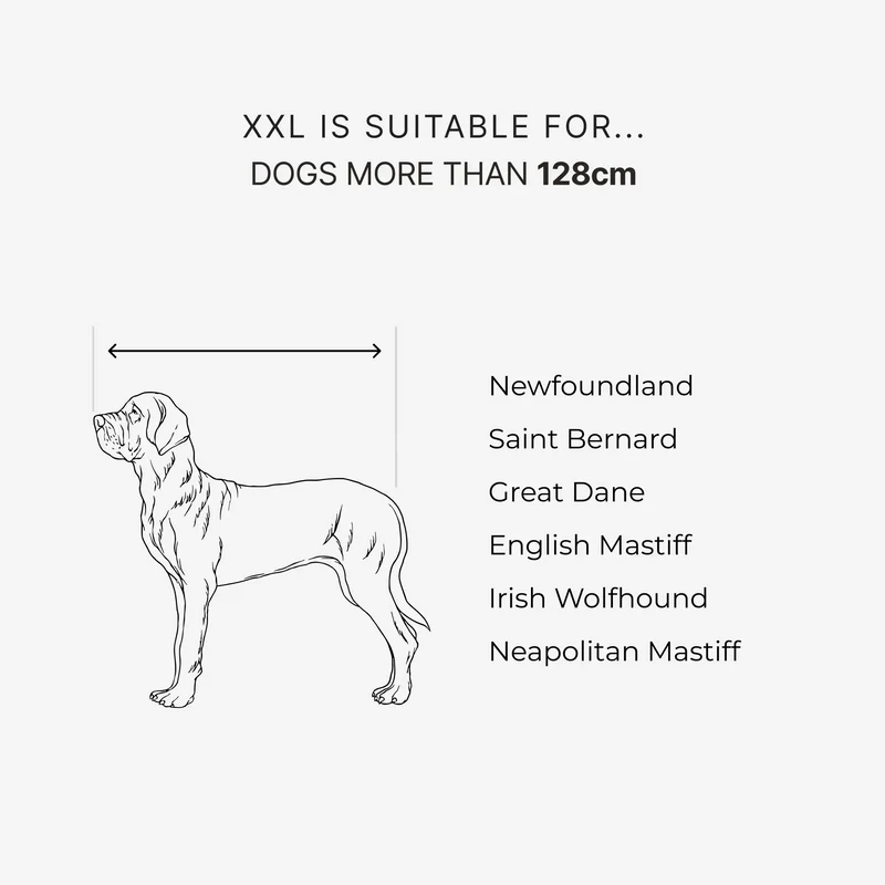 Size guide: XXL is suitable for dogs more than 128 cm: Newfoundland, Saint Bernard, Great Dane, English Mastiff, Irish Wolfhound, Neapolitan Mastiff. A drawn mastiff has an arrow along its length, nose to base of tail.