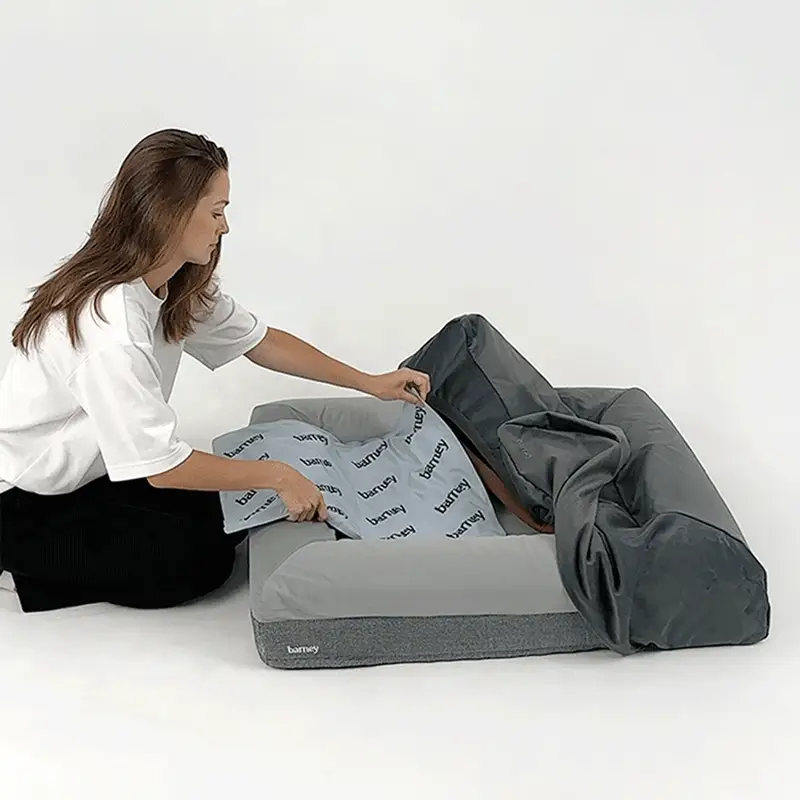 Barney Chill Pad in Original