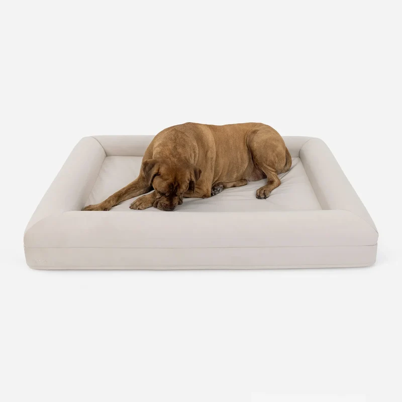 XL Barney Bed in Bone: a large tan mastiff lying in the middle with its head down, room to spare around it.