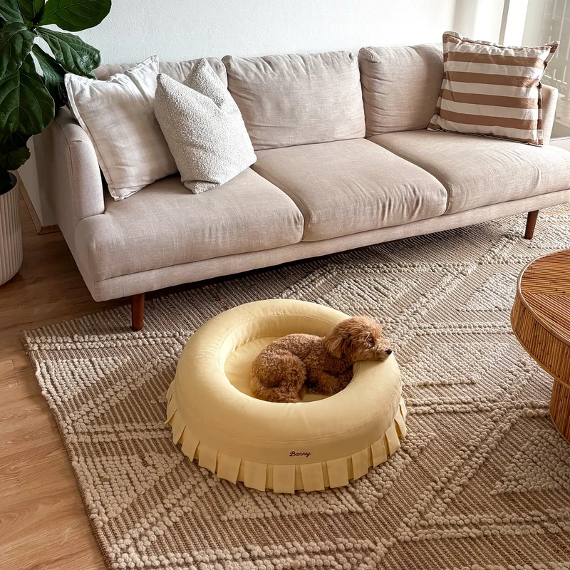 Nostalgia Cover Curl in Buttercream: an apricot toy poodle curled up in the round pale yellow bed on a rug by a sofa.
