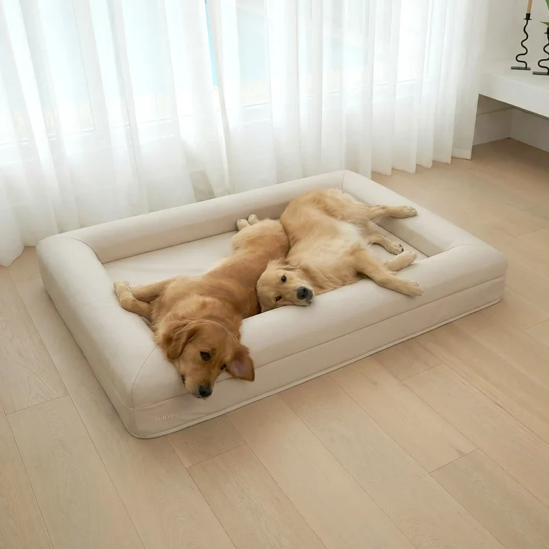 XL Barney Bed in Bone: two Golden Retrievers lying together on one bed, by sheer curtains in a bright room.