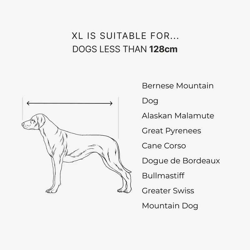 Size guide: XL is suitable for dogs less than 128 cm: Bernese Mountain Dog, Alaskan Malamute, Great Pyrenees, Cane Corso, Dogue de Bordeaux, Bullmastiff, Greater Swiss Mountain Dog. A drawn short-coated dog has an arrow along its length, nose to base of tail.