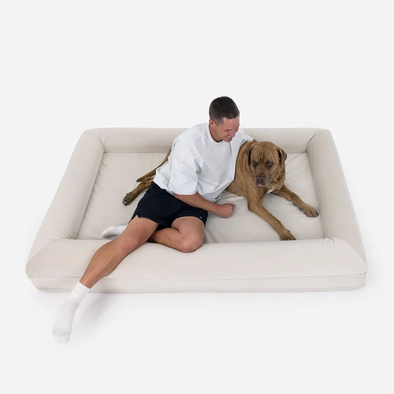 XXL Barney Bed in Bone: a man sits on the bed beside a large tan mastiff, with room for both of them.