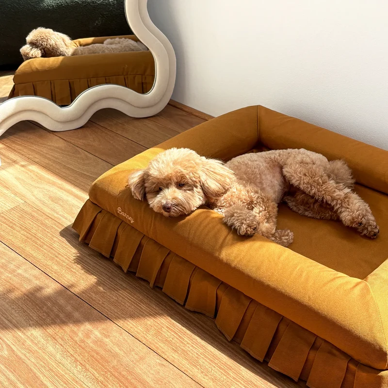 Nostalgia Cover in Toffee: an apricot toy poodle sprawled on a toffee pleated-skirt bed in sunlight, beside a wavy mirror.