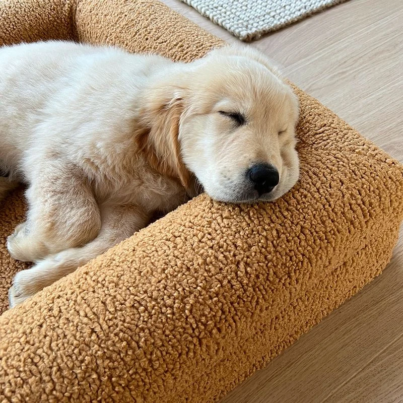 Golden Retriever puppy sleeping on a large tan dog bed