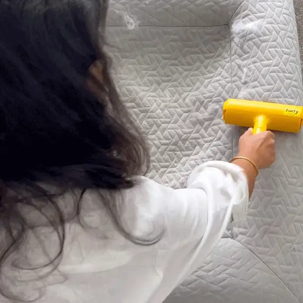 Animation: someone rolls the yellow Furfy over a gray quilted Barney Bed, then opens it to pull out a clump of pet hair.