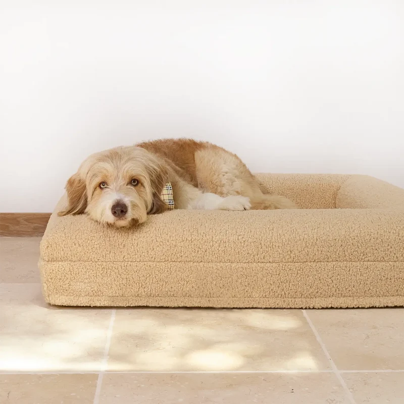 A fluffy dog rests comfortably on a large beige pet bed.
