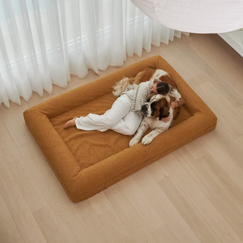 XXL golden dog bed with a Saint Bernard lying comfortably on it