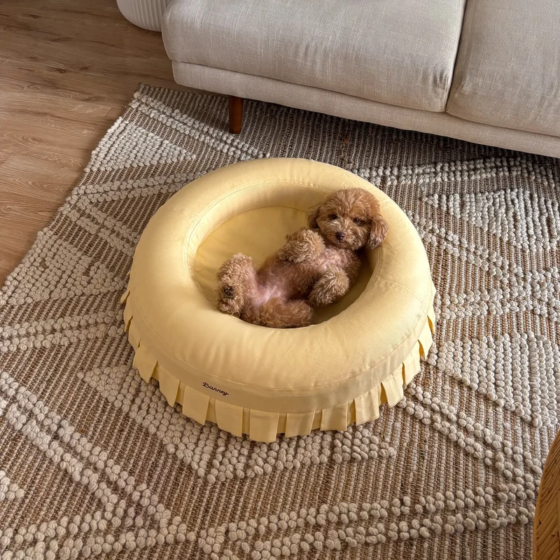 Nostalgia Cover Curl in Buttercream: an apricot toy poodle lying on its back in the round pale yellow bed on a woven rug.