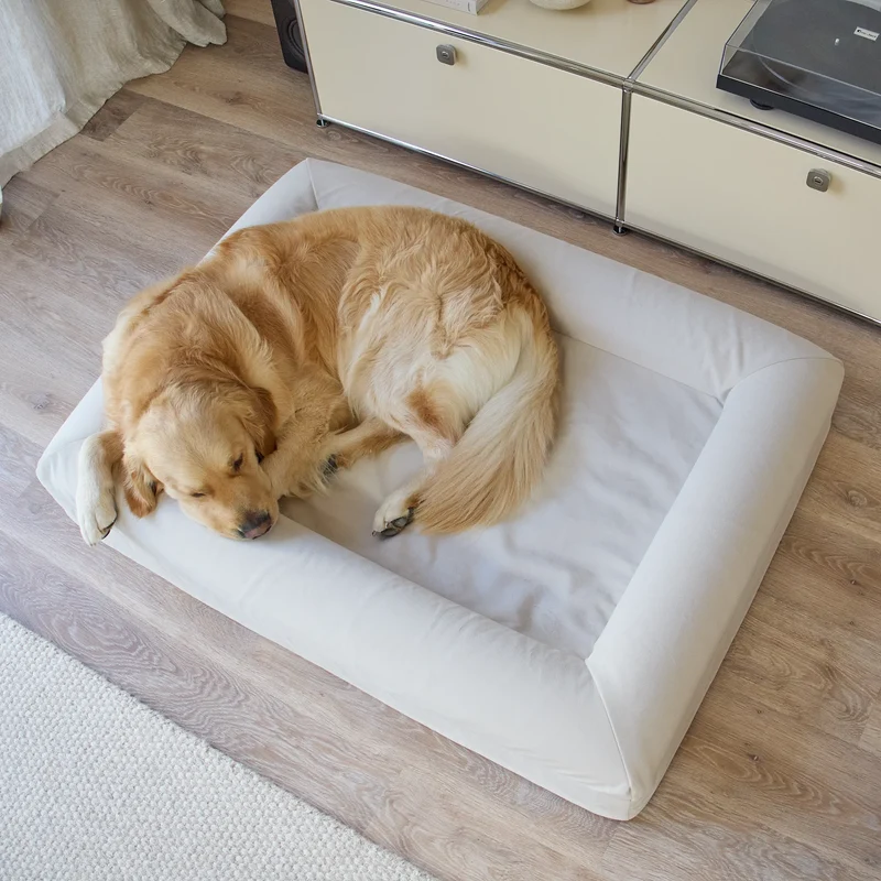 Signature Cover in Bone: a golden retriever curled up asleep on a large off-white bed, seen from above.