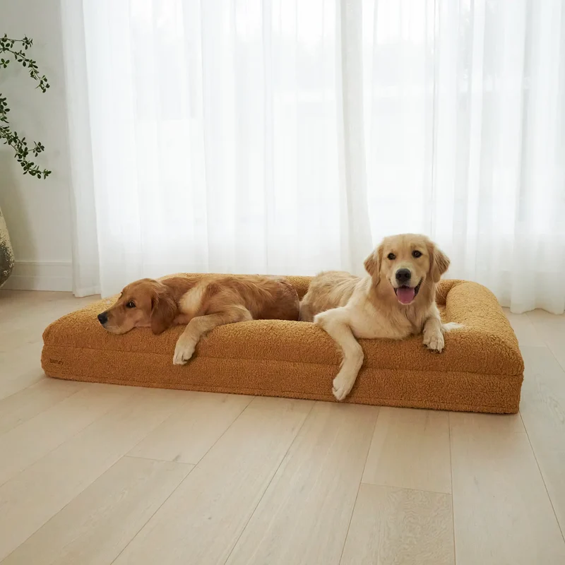 Golden Retrievers relaxing on a large golden dog mattress