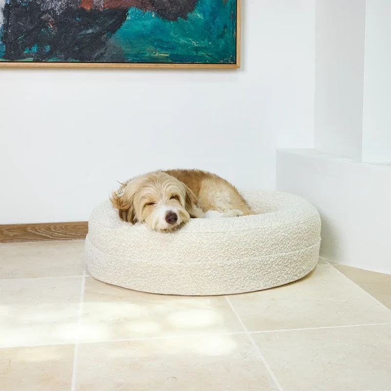 Scruffy tan and white dog asleep in a BarneyCurl Bed in a Bouclé Cover Curl on a tiled floor