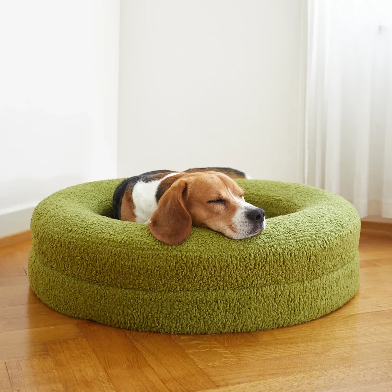 Teddy Cover Curl in Matcha on a Medium BarneyCurl: Pierre the Beagle asleep, chin resting on the rim.