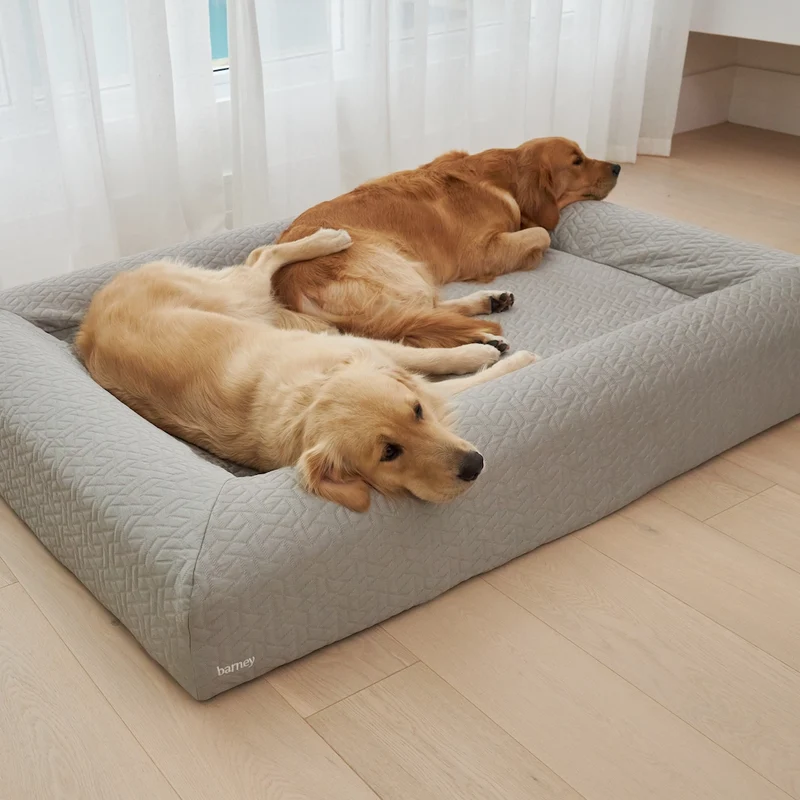 Cooling Cover in Silver on an XL Barney Bed: two Golden Retrievers lying together on the gray quilted bed by sheer curtains.