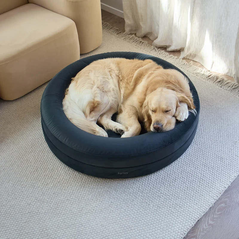 Large BarneyCurl Bed with Signature Cover in Charcoal