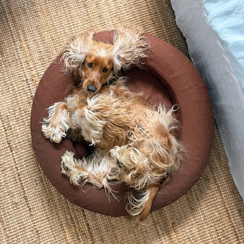 Linen Cover Curl in Moose