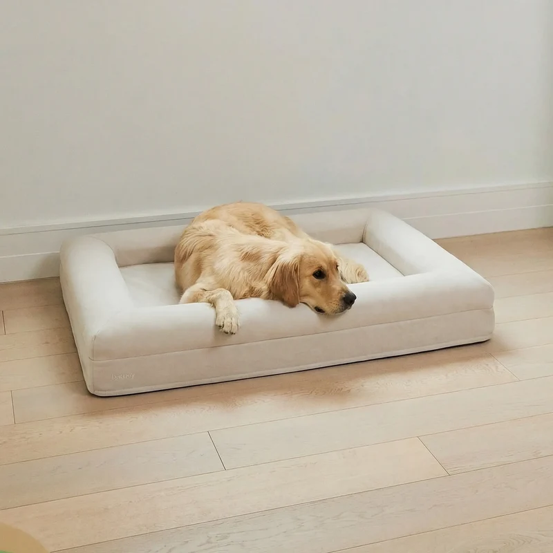 Golden Retriever resting its chin on the bolster of a Large Barney Bed in Bone