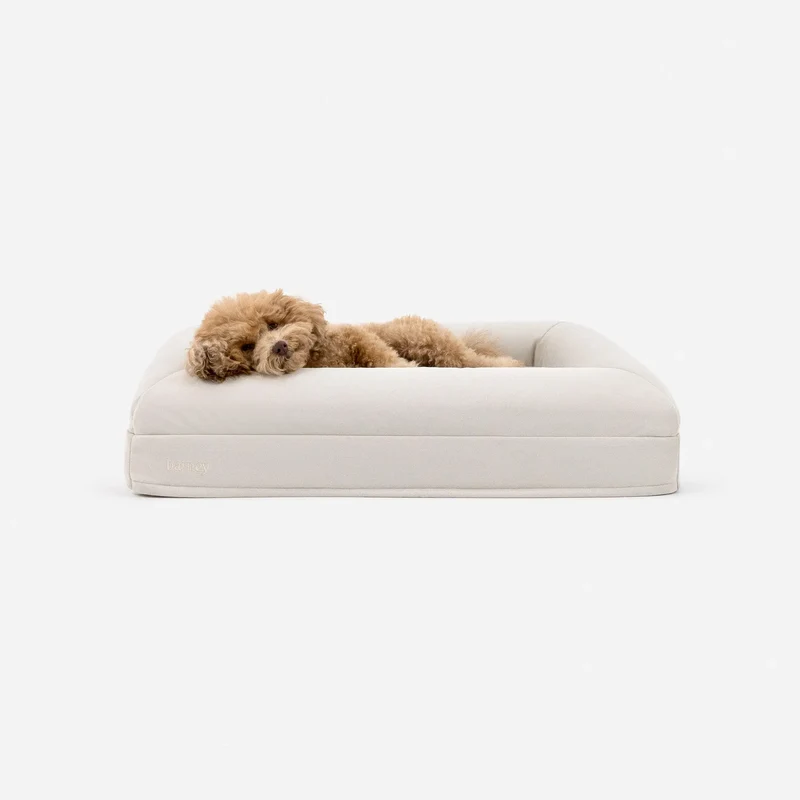 Small Barney Bed in Bone