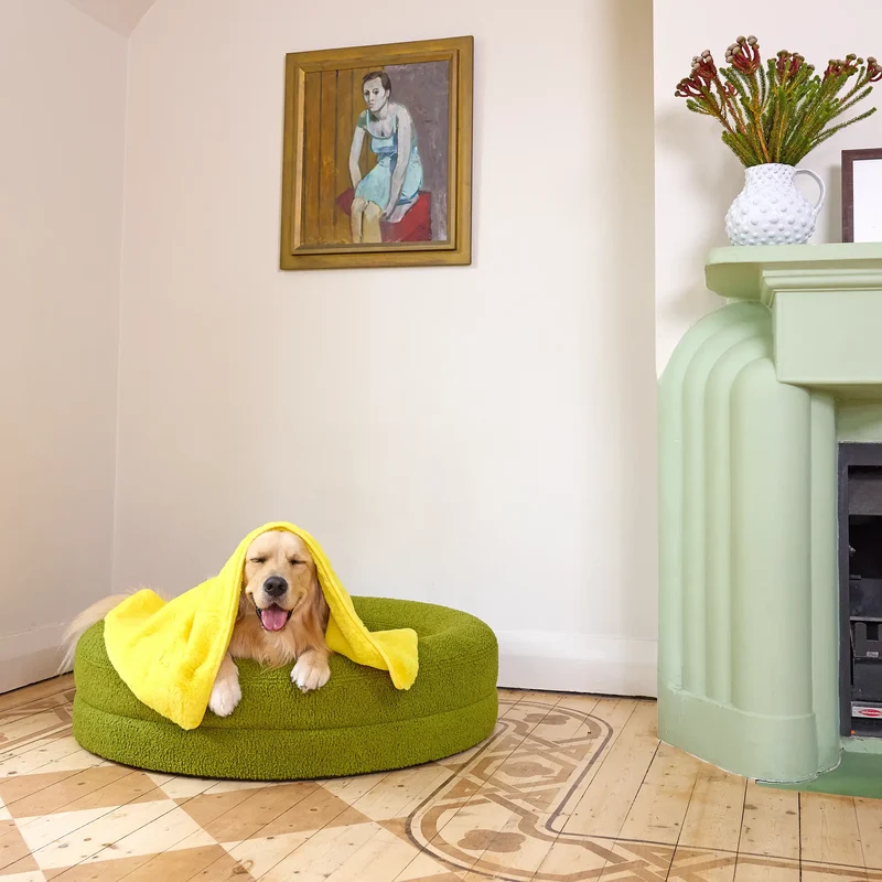 Golden Retriever relaxing on a green pet bed with a yellow towel draped over its head