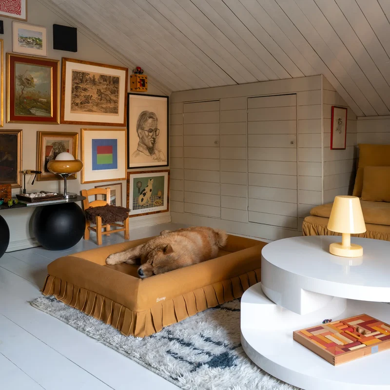 Nostalgia Cover in Toffee: a chow chow asleep on a large toffee pleated-skirt bed in an attic room hung with pictures.