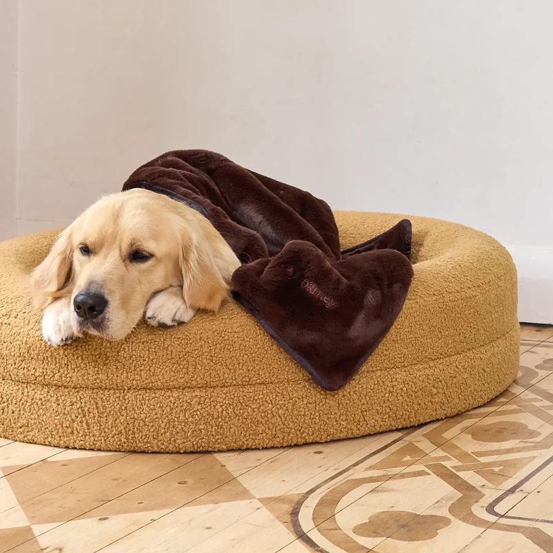 Blanket in Mud: a Golden Retriever rests its chin on the rim of a golden teddy BarneyCurl, under the dark brown blanket.