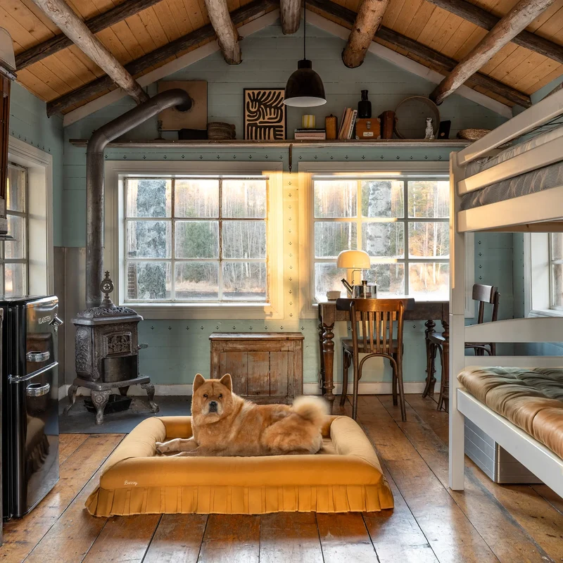 Nostalgia Cover in Toffee: a chow chow lying on a large toffee pleated-skirt bed in a sunlit timber cabin.