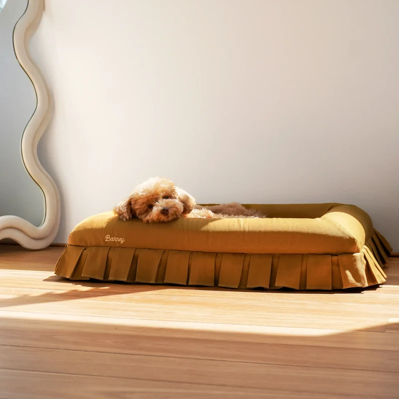 Nostalgia Cover in Toffee: an apricot toy poodle resting its head on the bolster of a small toffee pleated bed in sunlight.