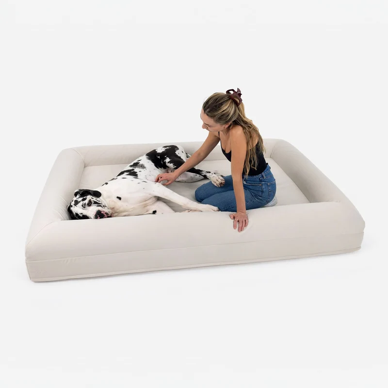 XXL Barney Bed in Bone: a woman kneels on the bed, stroking a black and white Great Dane lying on its side, with room for both.