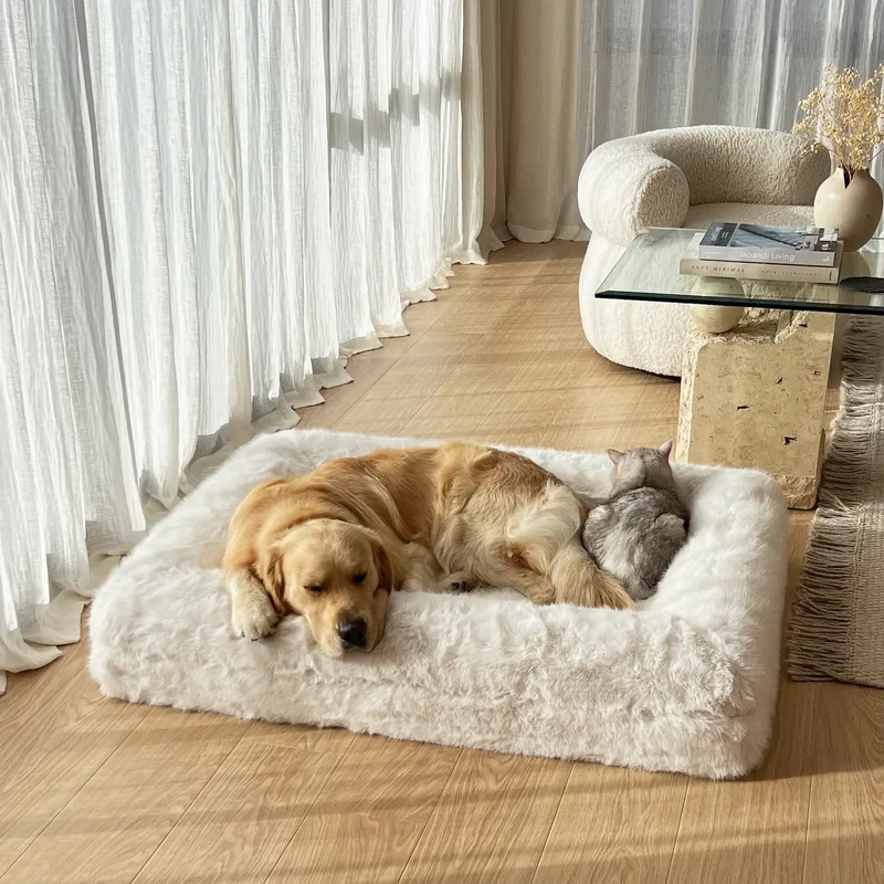 Fur Cover in Chibby on a Large Barney Bed: a Golden Retriever and a gray cat asleep together on the white faux fur.