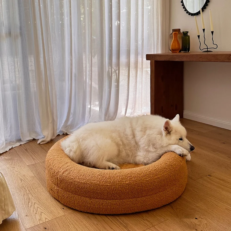 White dog resting on a large, round, orange pet bed