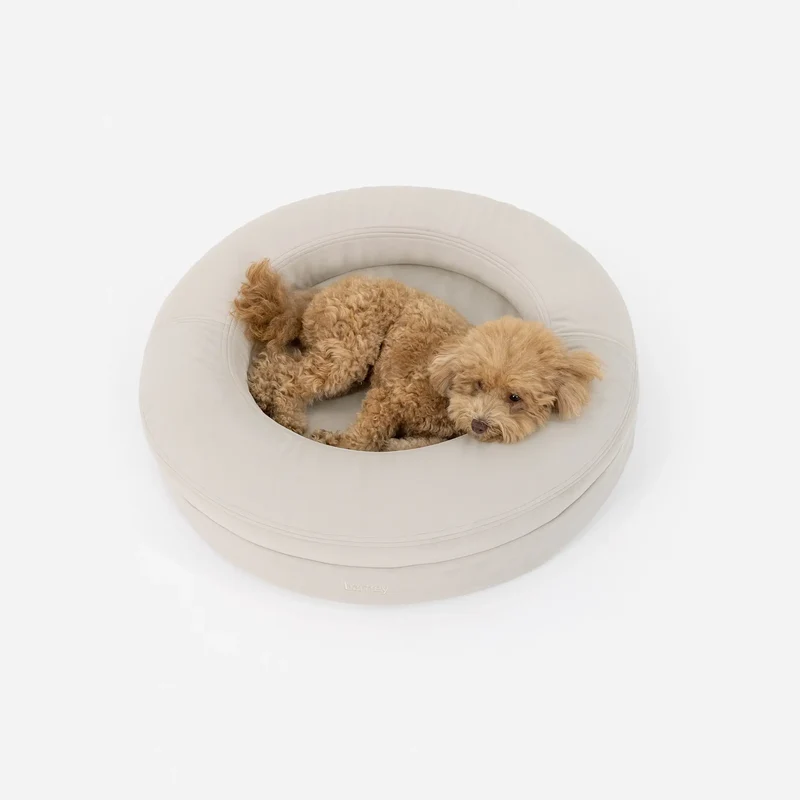 Apricot poodle lying in a BarneyCurl Bed in Bone, seen from above