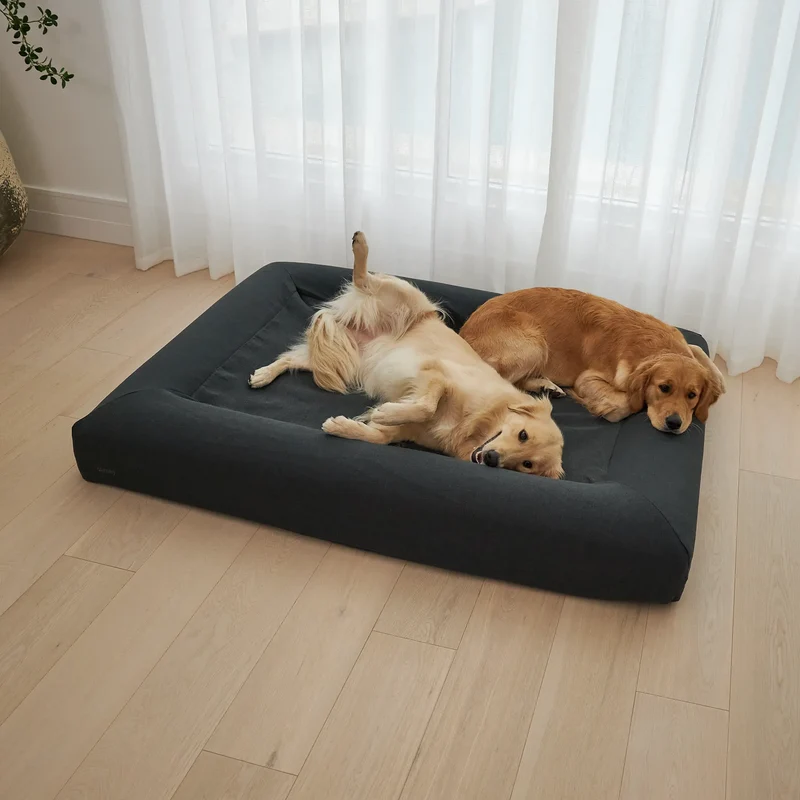 Basics Cover in Charcoal: two Golden Retrievers lying on one Barney Bed, one rolled onto its back.