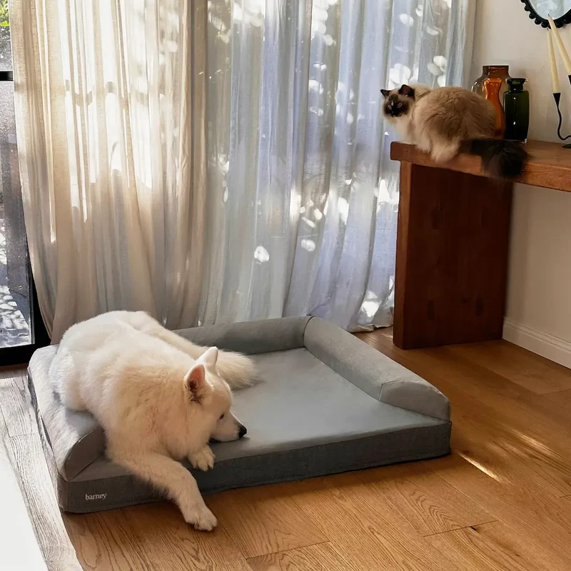 Arthur-Itis Cover in Original Gray: a white Samoyed lying on a Large Barney Bed, paws over the open front, a cat on a side table.
