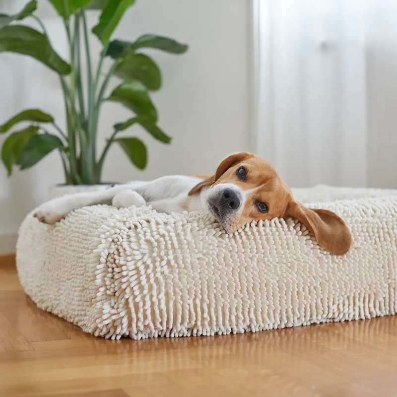 Barneycles Towel Cover in Sugarloaf: a Beagle resting its head on the bolster of a Barney Bed in shaggy cream chenille.