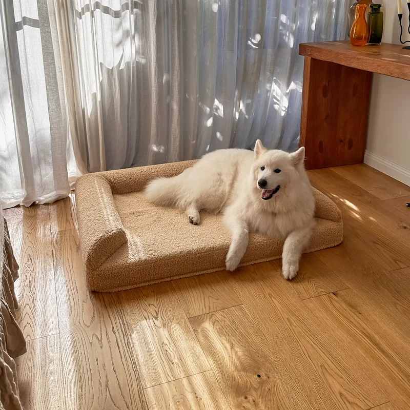 Arthur-Itis Cover in Rice Pudding: a smiling white Samoyed on a Large Barney Bed in a sunlit room, paws over the low open front.